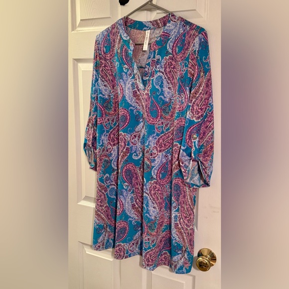 Dear Scarlett Dress with Blue and Pink Paisley Print - Picture 4 of 5